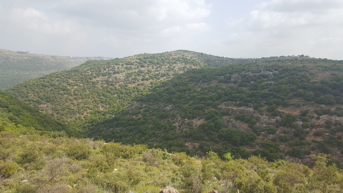 ESIA for Oak Hills Agricultural Development Project in Kfarfalous- Jezzine.
